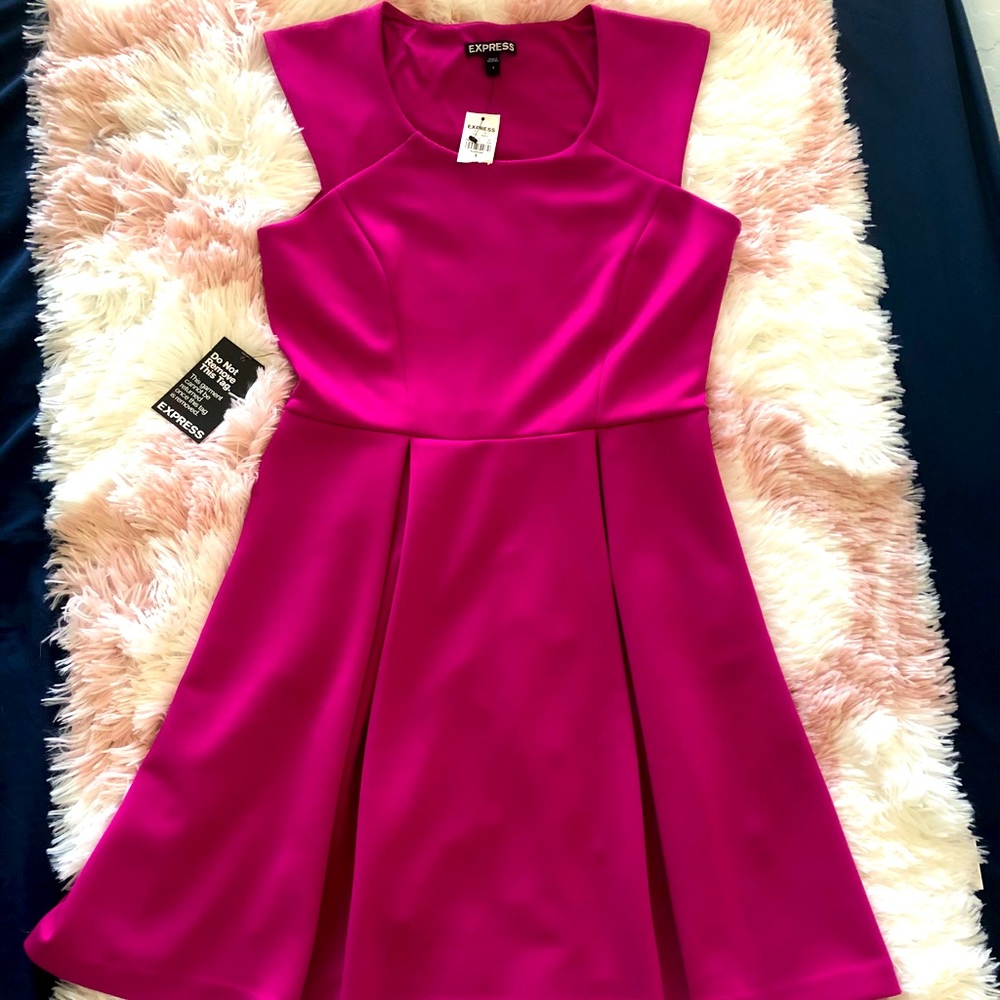 Express Cocktail Dress